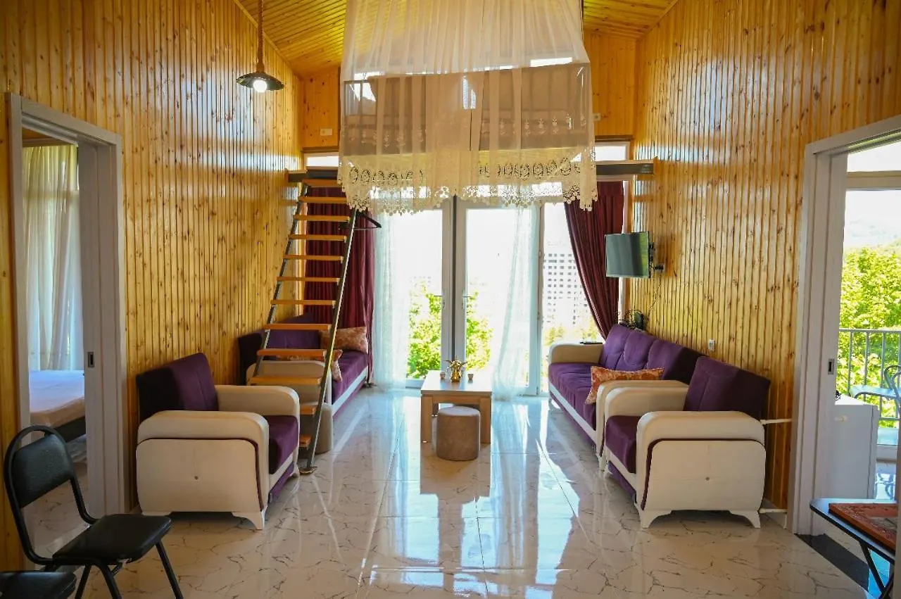 Alis House 3 Villa Batumi