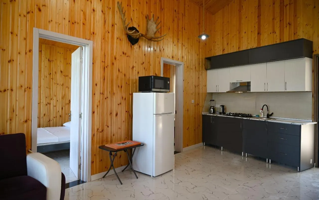 Alis House 3 Villa Batumi